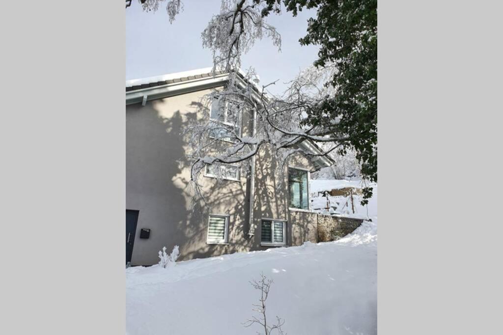 Ferienwohnung Am Musbach In Badenweiler-Sehringen エクステリア 写真