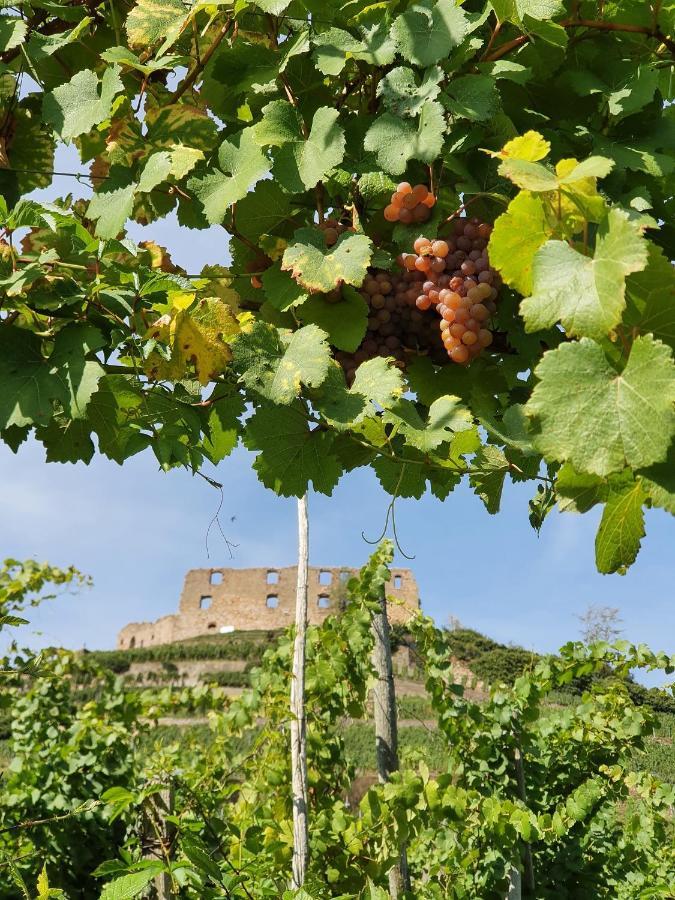 Ferienwohnung Am Musbach In Badenweiler-Sehringen エクステリア 写真