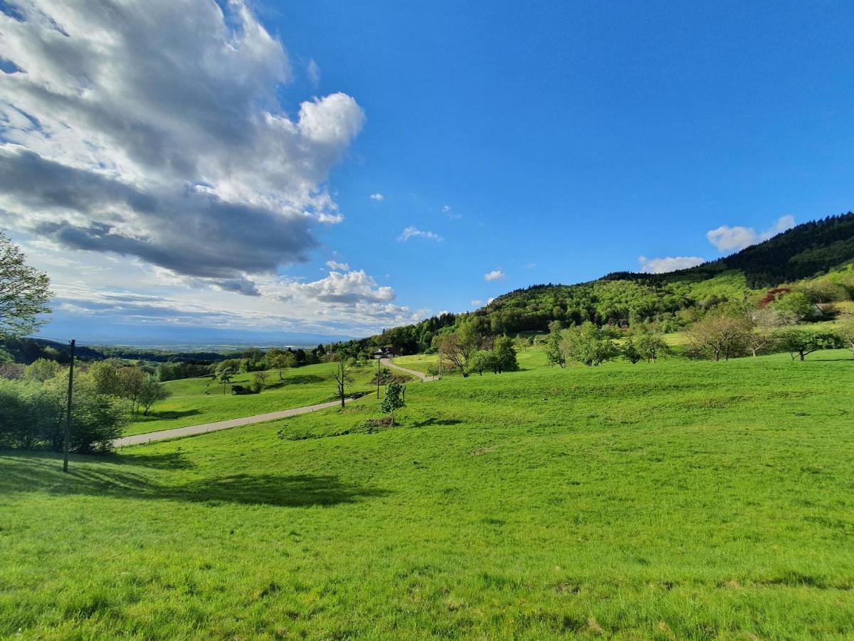 Ferienwohnung Am Musbach In Badenweiler-Sehringen エクステリア 写真
